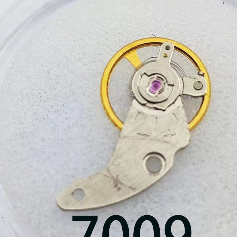 2525252 Accesorios para Reloje - Model Kit Perfect Grade reseña y precio